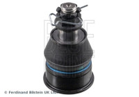 Kulled ADBP860216 Blue Print