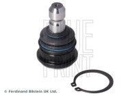 Kulled ADBP860233 Blue Print