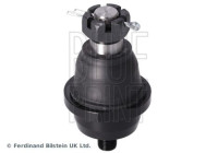 Kulled ADBP860236 Blue Print