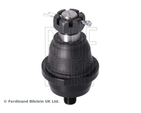 Kulled ADBP860236 Blue Print