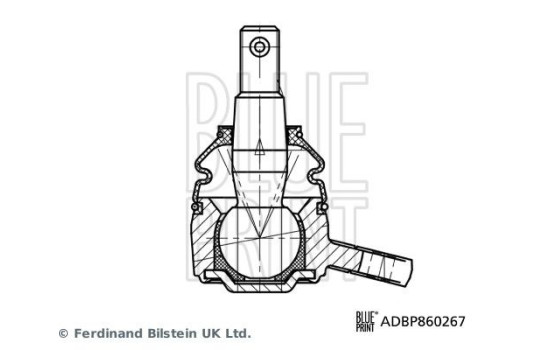Kulled ADBP860267 Blue Print, bild 3