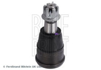 Kulled ADBP860281 Blue Print