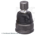 Kulled ADBP860282 Blue Print