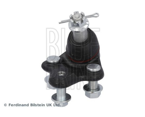 Kulled ADBP860310 Blue Print