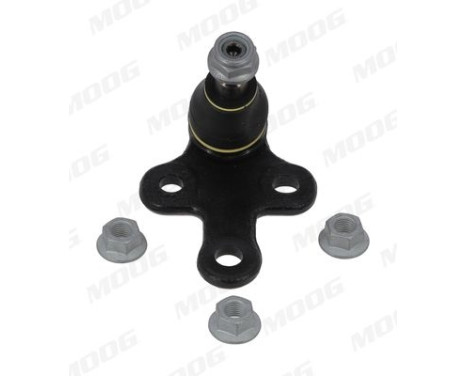 Kulled CI-BJ-17535 Moog, bild 2