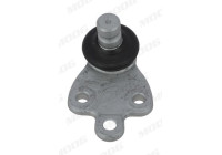 Kulled FD-BJ-17583 Moog