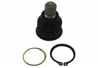Stöd- / Styrstag SBJ-6541 Kavo parts