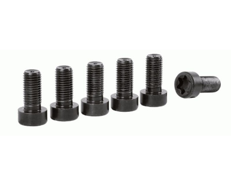 Skruvsats, koppling 1874 000 074 Sachs