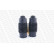 Dammskyddsats, stötdämpare PROTECTION KIT PK060 Monroe, miniatyr 2