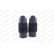 Dammskyddsats, stötdämpare PROTECTION KIT PK060 Monroe, miniatyr 5