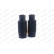 Dammskyddsats, stötdämpare PROTECTION KIT PK085 Monroe, miniatyr 5