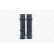 Dammskyddsats, stötdämpare PROTECTION KIT PK131 Monroe, miniatyr 6