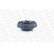 Fjäderbens-stödlager MOUNTING KIT MK381 Monroe, miniatyr 2
