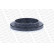 Rullager, fjäderbenslager MOUNTING KIT MK427 Monroe