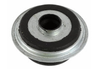 stag 803 458 Sachs