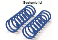 Extrafjäder Westfalia Power Springs