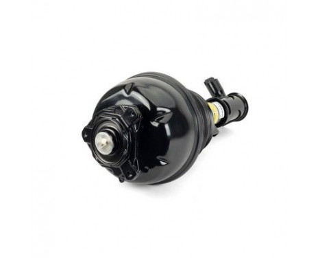 Luftfjäderben, bild 2