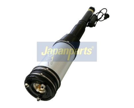 Luftfjäderben, bild 2