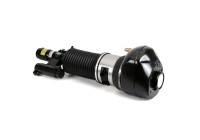 Pneumatisk fjäderben