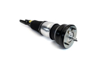 Pneumatisk fjäderben