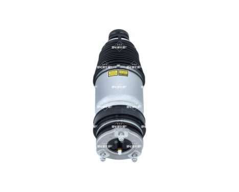 Pneumatisk fjäderben, bild 3