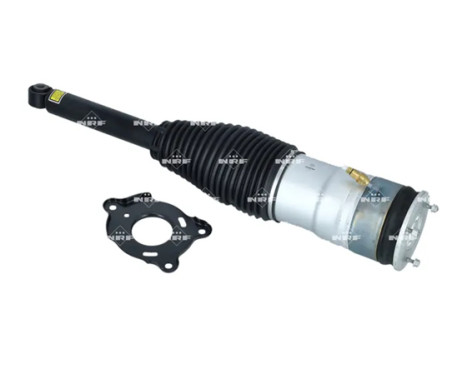 Pneumatisk fjäderben, bild 4