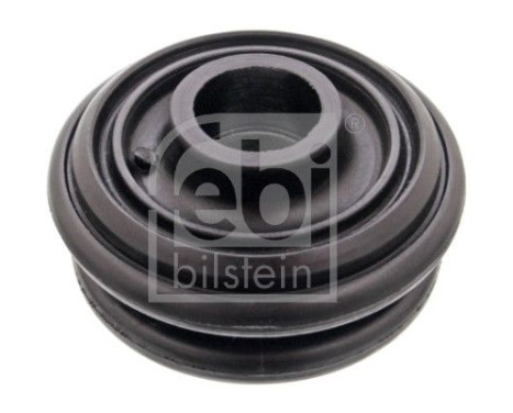 Fjäderbens-stödlager, bild 2