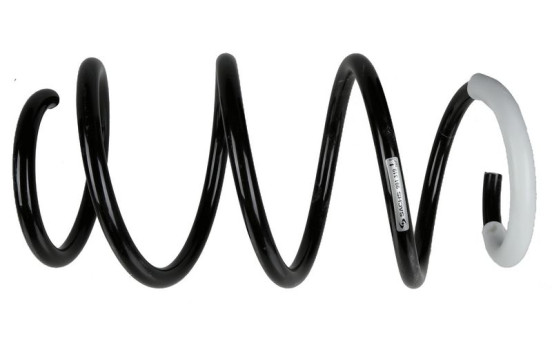 Chassifjäder 991 319 Sachs