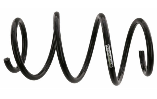 Chassifjäder 991 370 Sachs