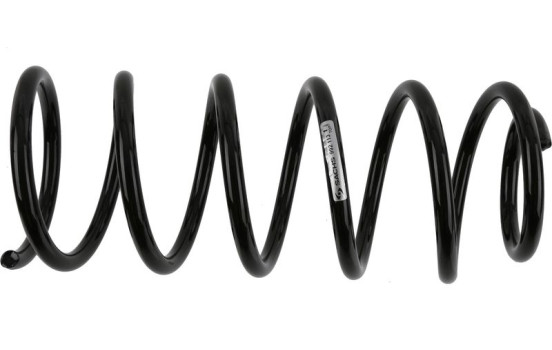 Chassifjäder 992 113 Sachs