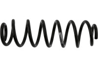 Chassifjäder 992 202 Sachs