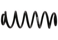 Chassifjäder 992 272 Sachs