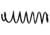 Chassifjäder 992 317 Sachs