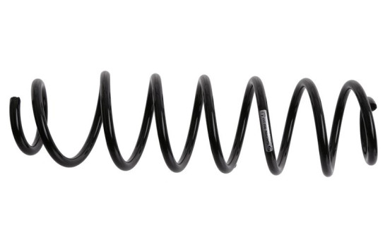 Chassifjäder 992 317 Sachs