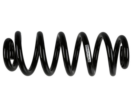 Chassifjäder 992 426 Sachs