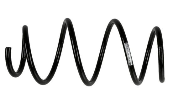 Chassifjäder 992 432 Sachs