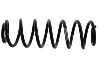 Chassifjäder 992 439 Sachs