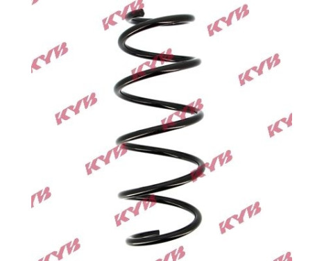 chassifjäder RA1119 Kayaba