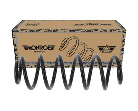 Chassifjäder SP4772 Monroe, bild 3