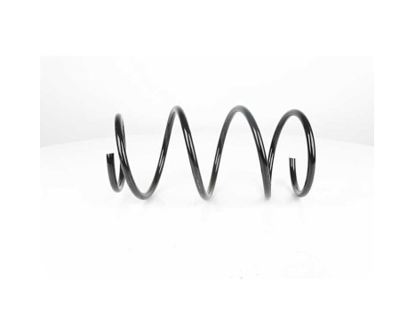 chassifjäder, bild 2