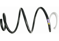 Spiralfjäder 993 919 Sachs