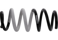 Spiralfjäder 994 831 Sachs