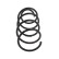 Spiralfjäder MONROE SPRINGS SE3430, miniatyr 6