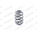 Spiralfjäder MONROE SPRINGS SN0430, miniatyr 5