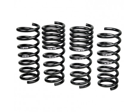 H & R Sänkning Springs Renault Clio D (IV) RS 2013- 30-20mm