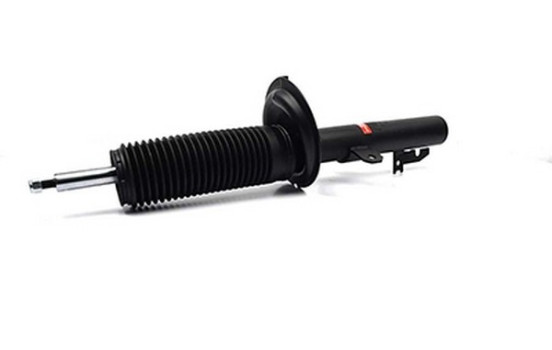 Stötdämpare BSG 30-300-011