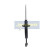 Stötdämpare MM-00037 Japanparts, miniatyr 6