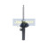 Stötdämpare MM-00259 Japanparts, miniatyr 3
