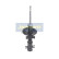 Stötdämpare MM-00285 Japanparts, miniatyr 3