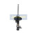 Stötdämpare MM-00329 Japanparts, miniatyr 4